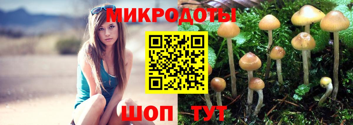 Галлюциногенные грибы GOLDEN TEACHER Елизово