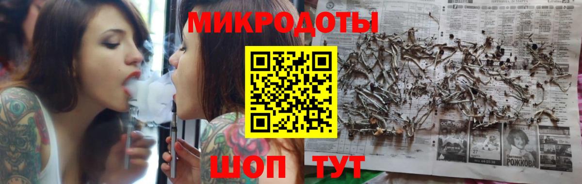 Елизово  Галлюциногенные грибы мицелий  Псилоцибиновые грибы мицелий  Вход с VPN 